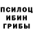 Псилоцибиновые грибы мицелий Alfa Shooter