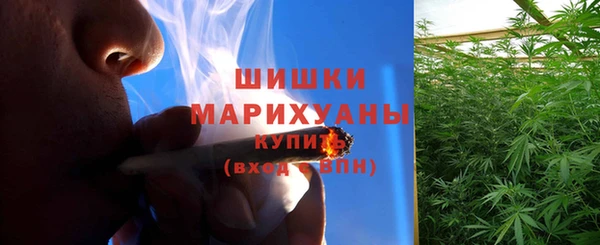 индика Остров