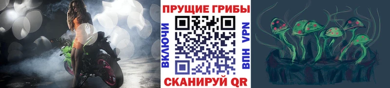 Галлюциногенные грибы ЛСД Переславль-Залесский