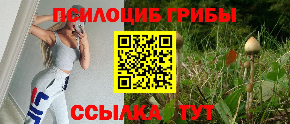 Псилоцибиновые грибы Psilocybine cubensis  цены   Вход с VPN  Переславль-Залесский  Псилоцибиновые грибы мицелий 